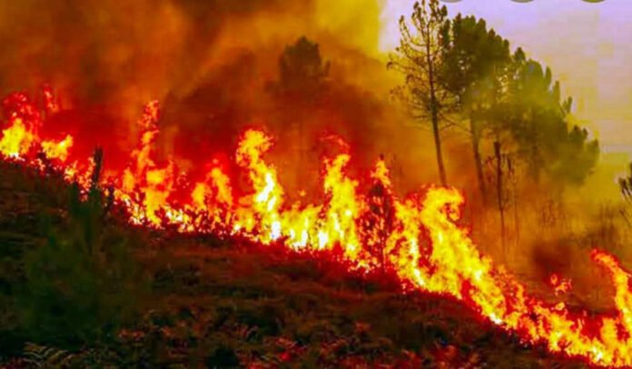 Almora forest fire ( अल्मोड़ा वनाग्नि )