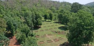 उत्तराखंड में वन भूमि कब्जे पर सुप्रीम कोर्ट सख्त, राज्य को फटकार उत्तराखंड में वन भूमि कब्जा (Forest land grabbing in Uttarakhand)