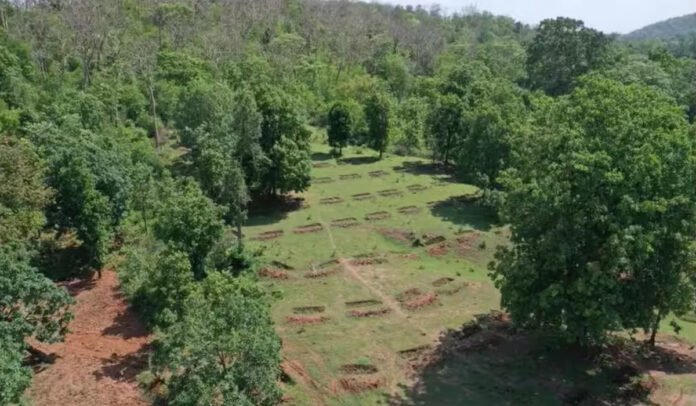उत्तराखंड में वन भूमि कब्जा (Forest land grabbing in Uttarakhand)