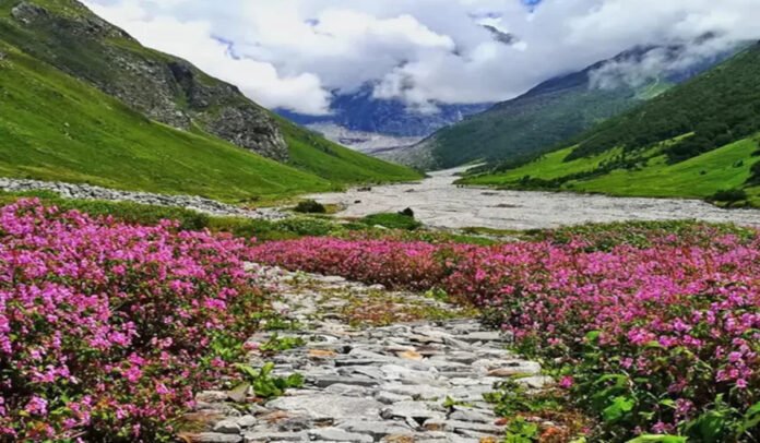 Valley of flowers Uttarakhand
